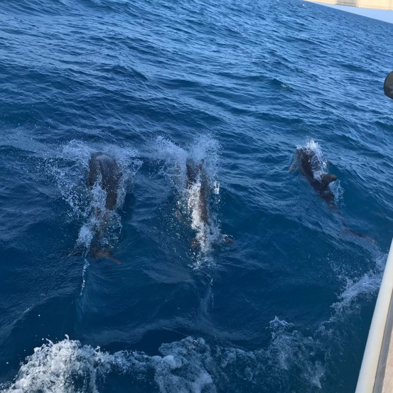 Crociera Escursioni Siracusa Barca